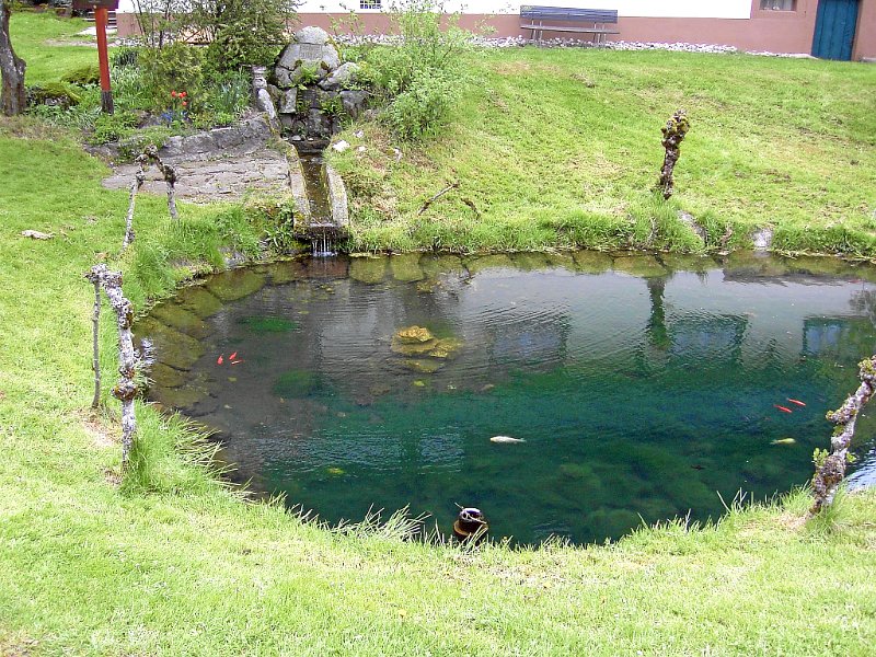 06_Brigachquelle 1.JPG